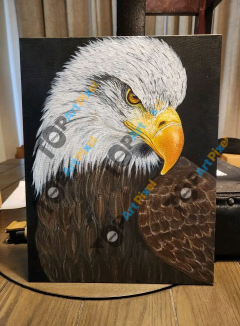 FB IMG 17431147843054394