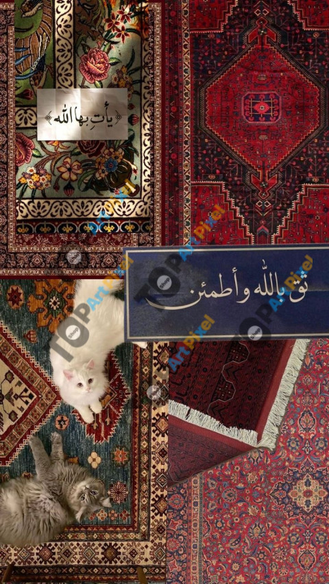 0DD82629 6B91 448A B202 254CECC6B8B0