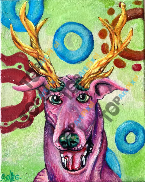 508870609 691036267026380 8376653172150888000 n