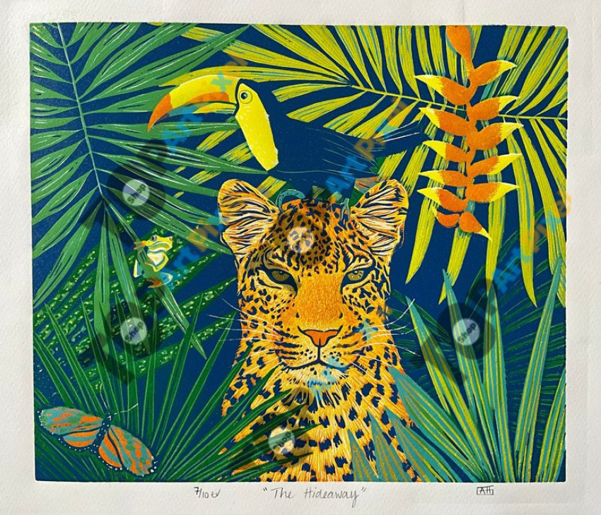 51647780b71c41f192e6cf5428499495 opt