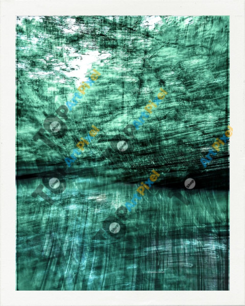 verde just like forest © Quetzalyis Van Luft