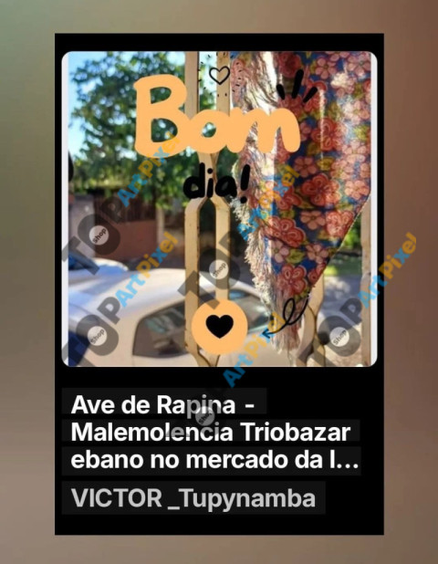 inbound2427545237701489691