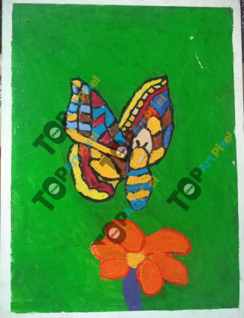 the butterfly art