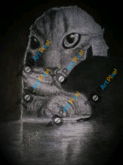 IMG 20250823 WA0003(3)