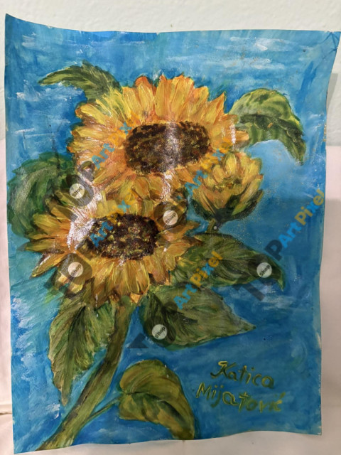 viber slika 2025 05 04 19 09 38 411