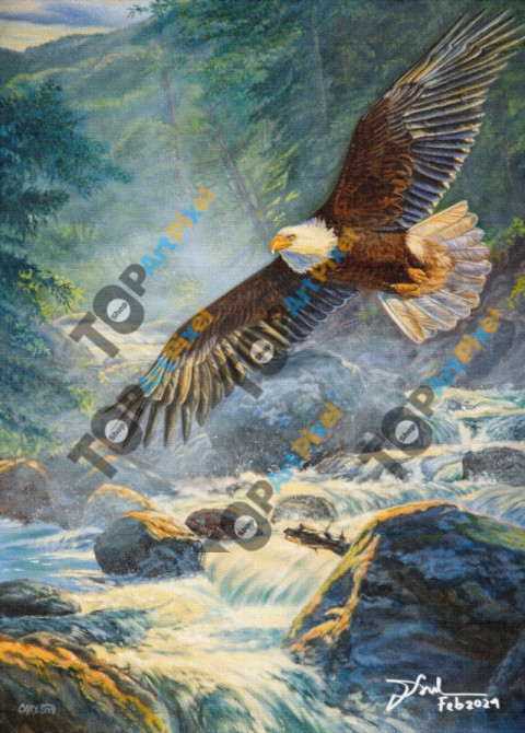 An Eagle Looking For River Fish Around Lake Toba 1