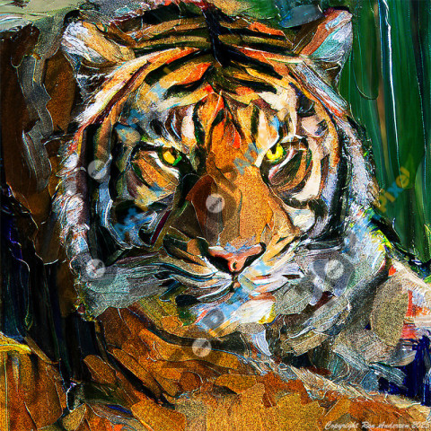 Tiger Z91 1419 oil DxO