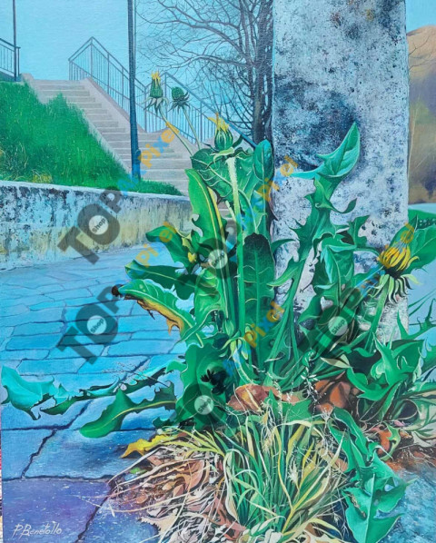 521537745 915898164052005 2301244807067697446 n