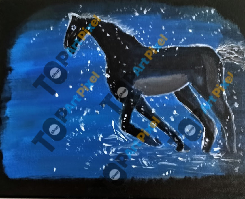 Midnight Gallop