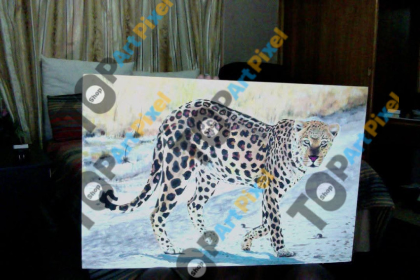 Leopard Walk