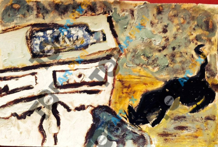 cat and old chest  - Mukta