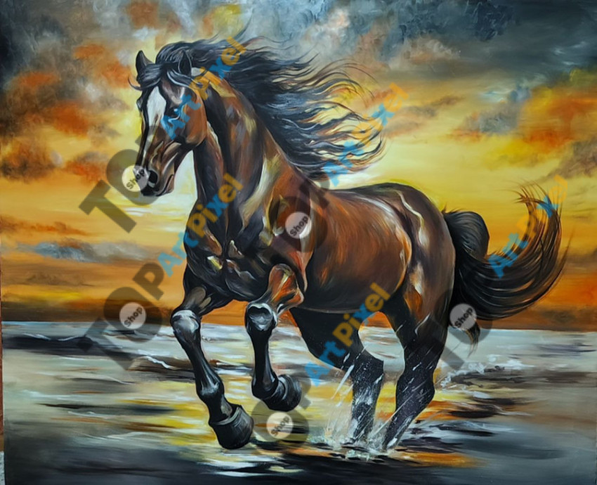 photo 2025 07 24 10 22 17