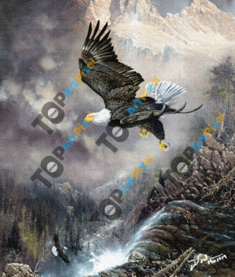 Eagle In The Lake Toba Forest 6