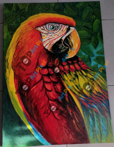 Mr Parrot