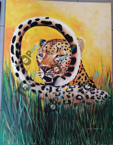 Curious Leopard