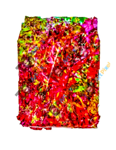 Polaroid transfer #37 © Quetzalyis Van Luft