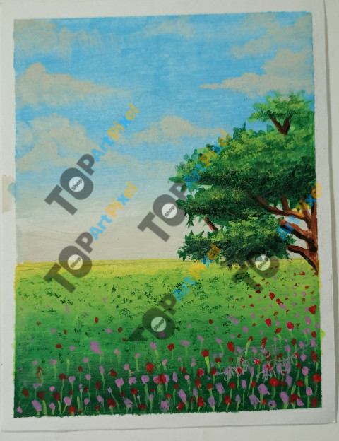 Beautiful field scenery