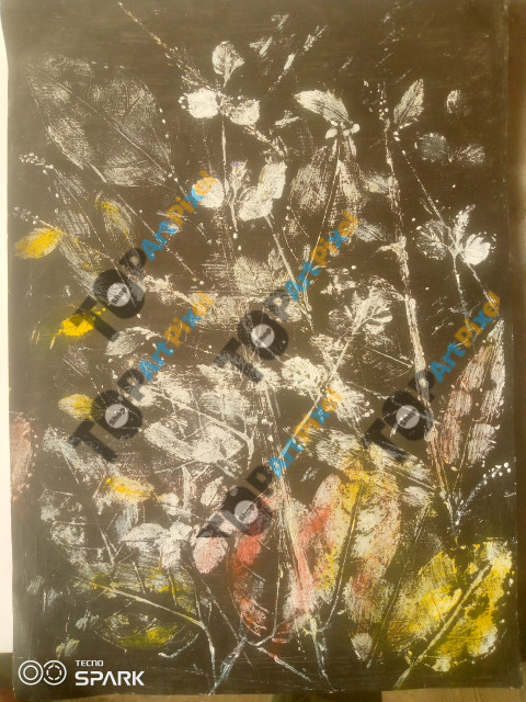 IMG 20240128 164309 629