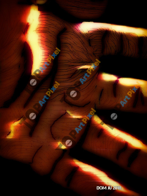 2   The hand by Dom Jú