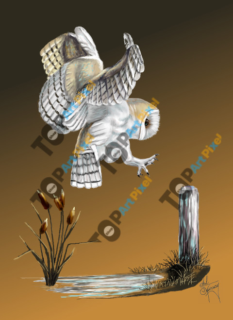 152 Barn Owl Landing
