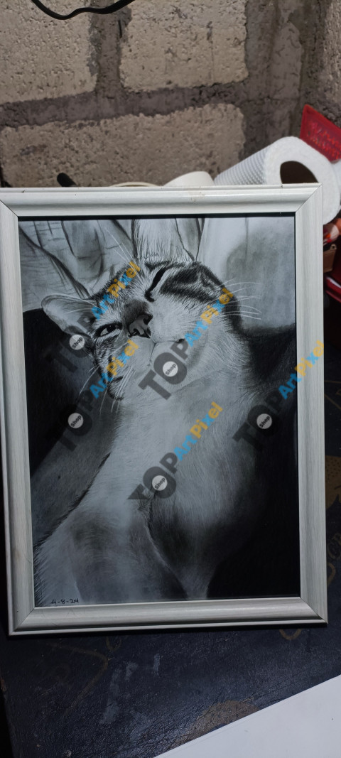 IMG 20250627 174149