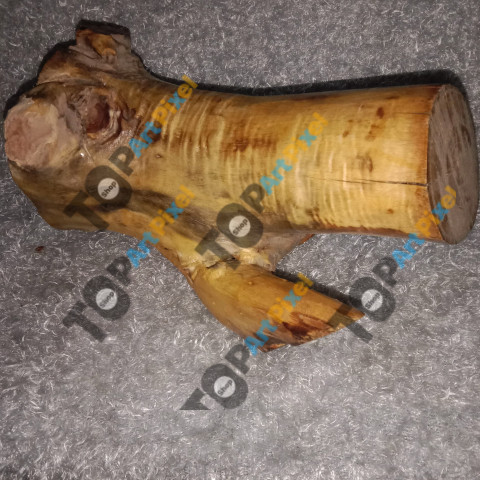 IMG ٢٠٢٥٠٢٢٨ ٠١٤٨١٣