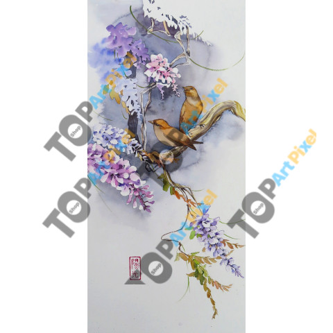 Visteria
