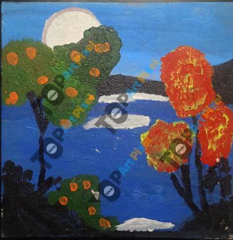 the moon art