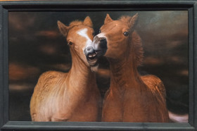 a pair of horses