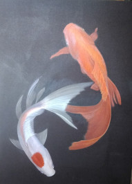 underwater fish