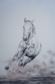 white horse